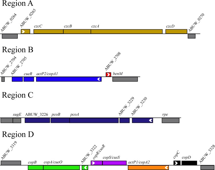 FIG 6