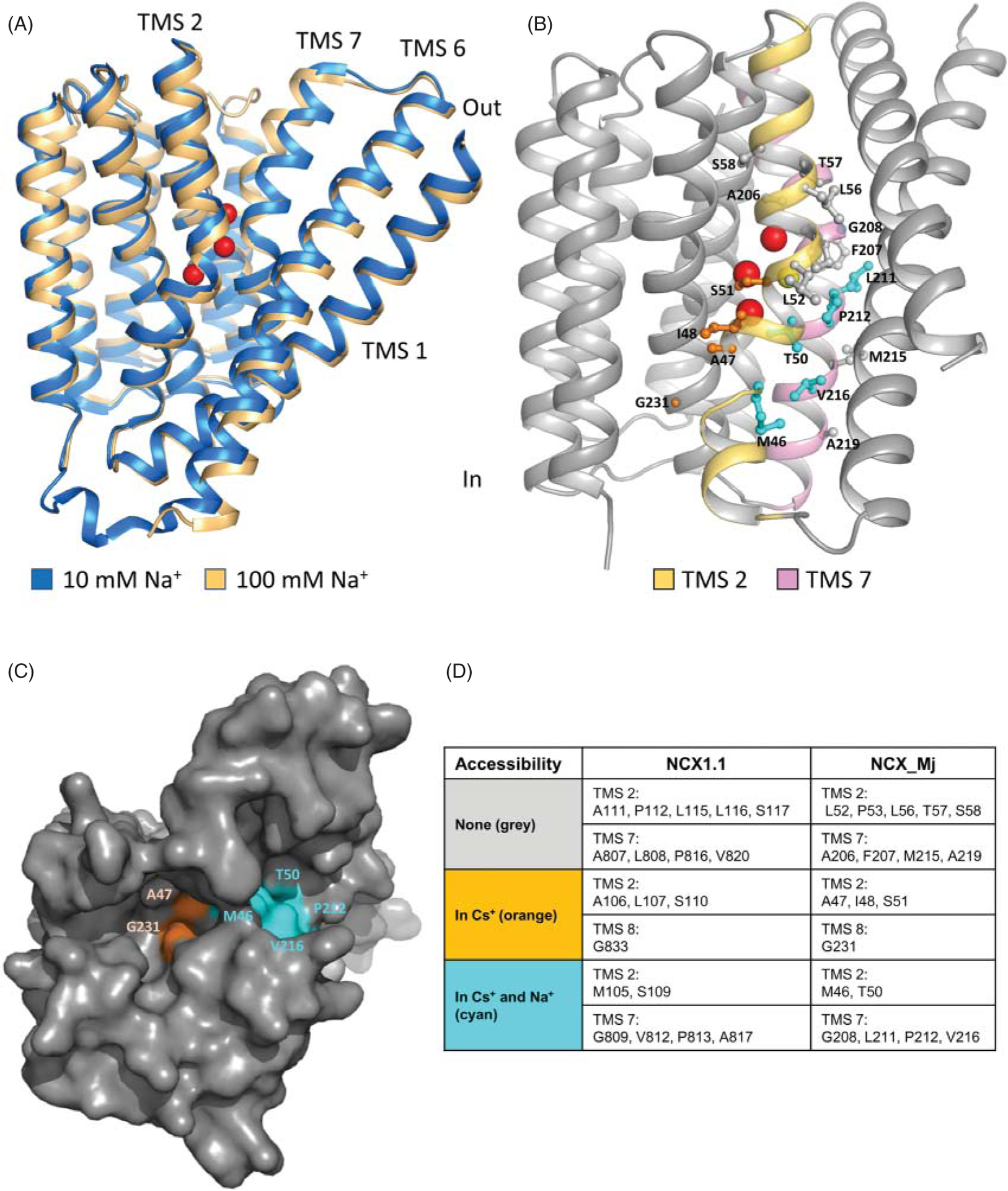 Figure 13