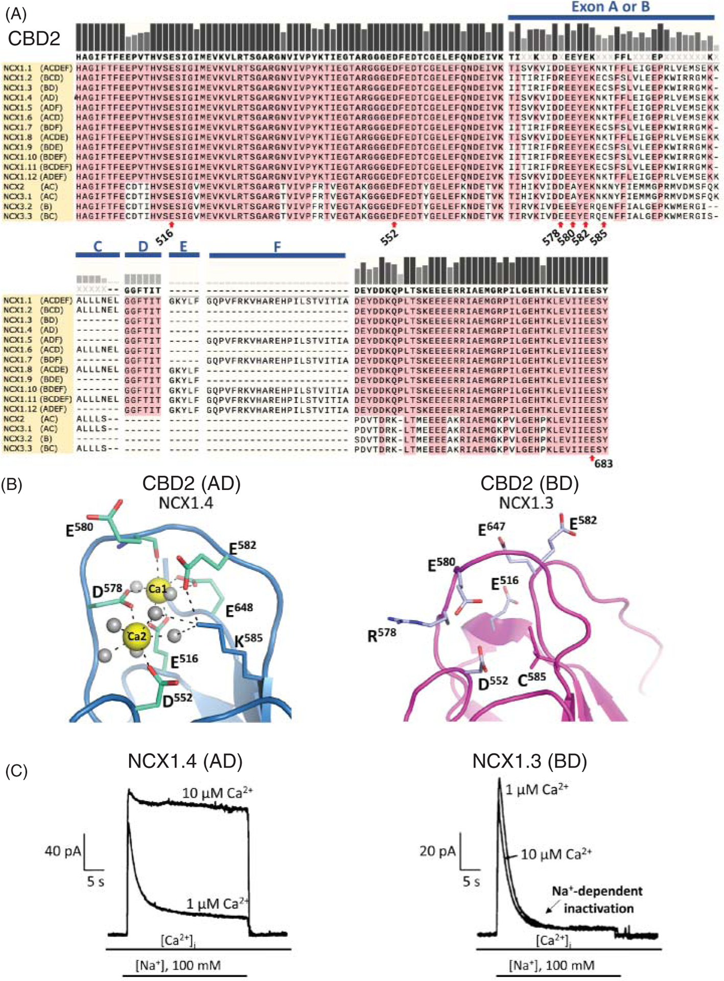 Figure 10