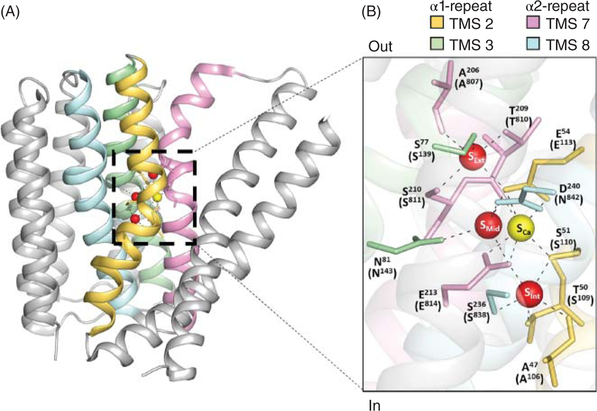 Figure 11