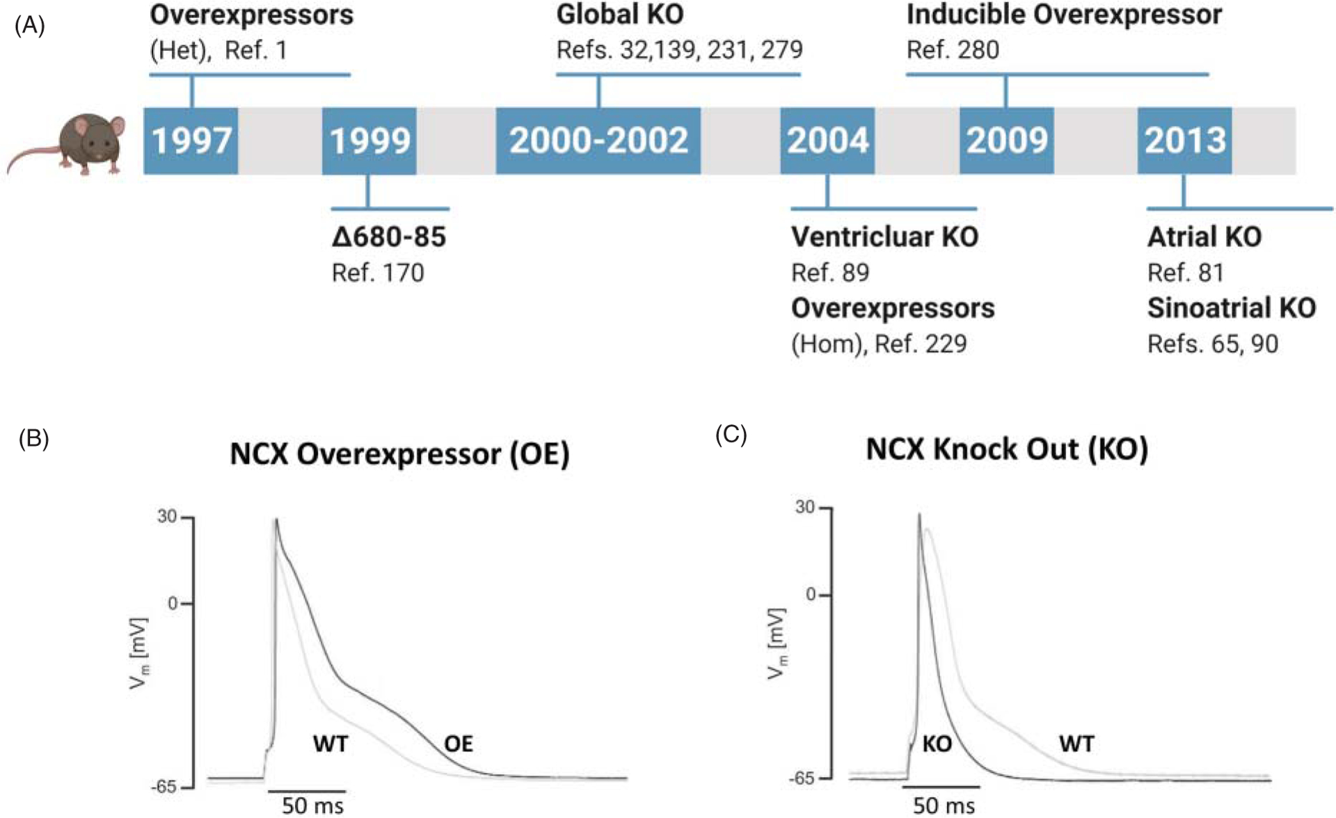 Figure 16