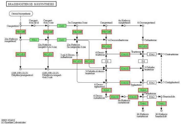 FIGURE 10