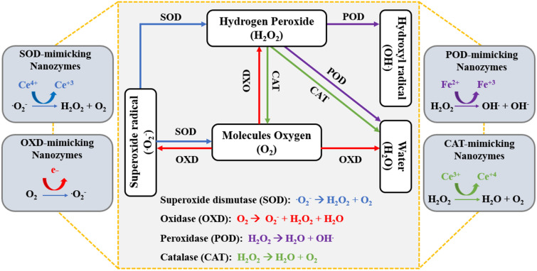 Fig. 2