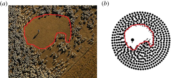 Figure 4.