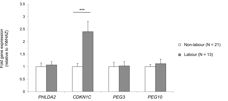 Fig. 4