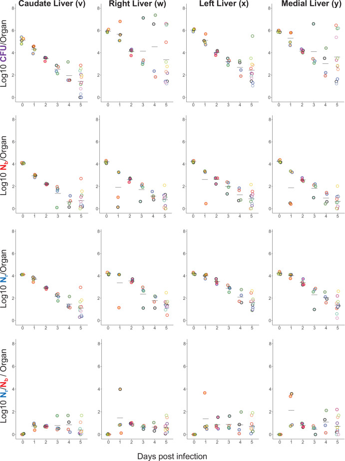 Figure 1—figure supplement 4.