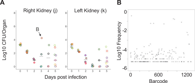 Figure 2—figure supplement 1.