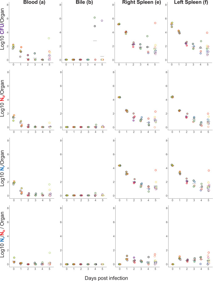 Figure 1—figure supplement 2.