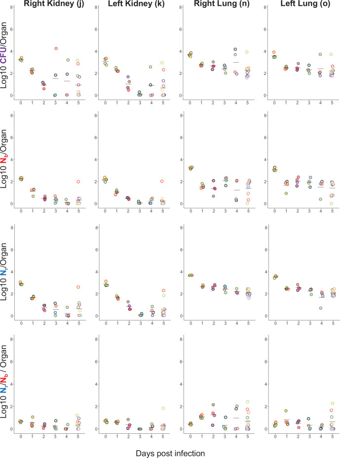 Figure 1—figure supplement 3.