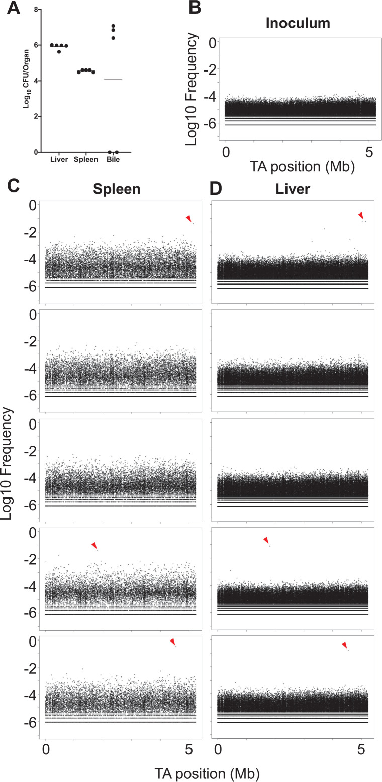 Figure 6—figure supplement 1.