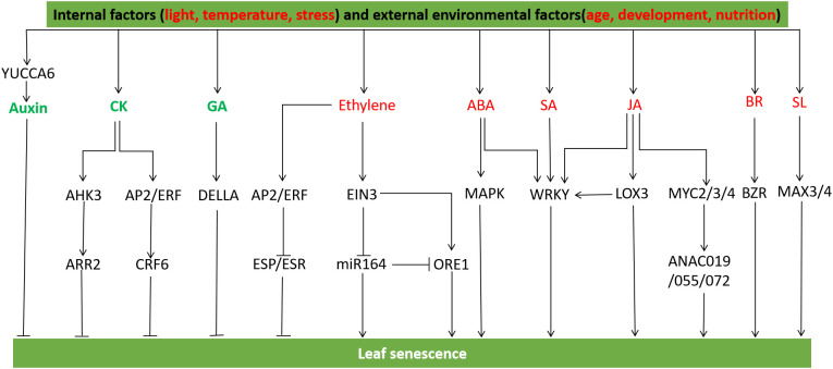 Figure 5