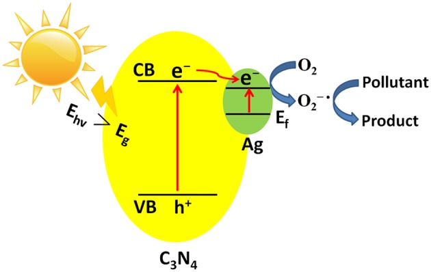 Figure 9