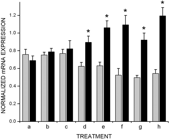 Fig. 8.