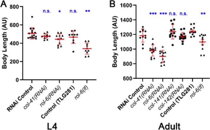 FIGURE 3: