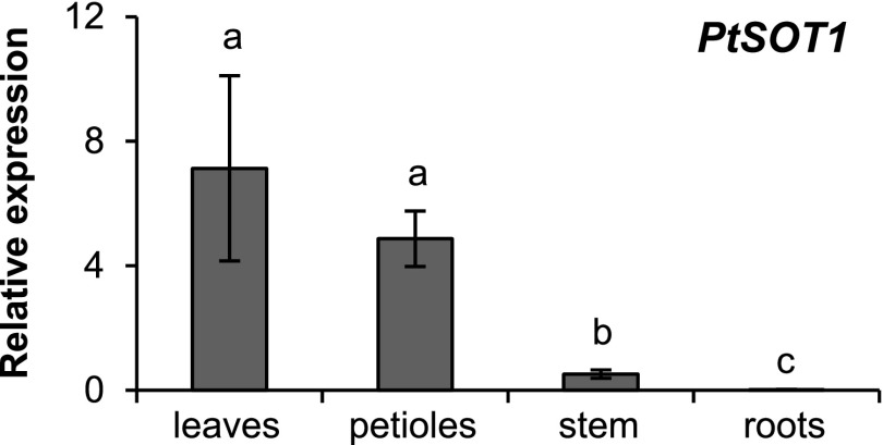 Figure 7.