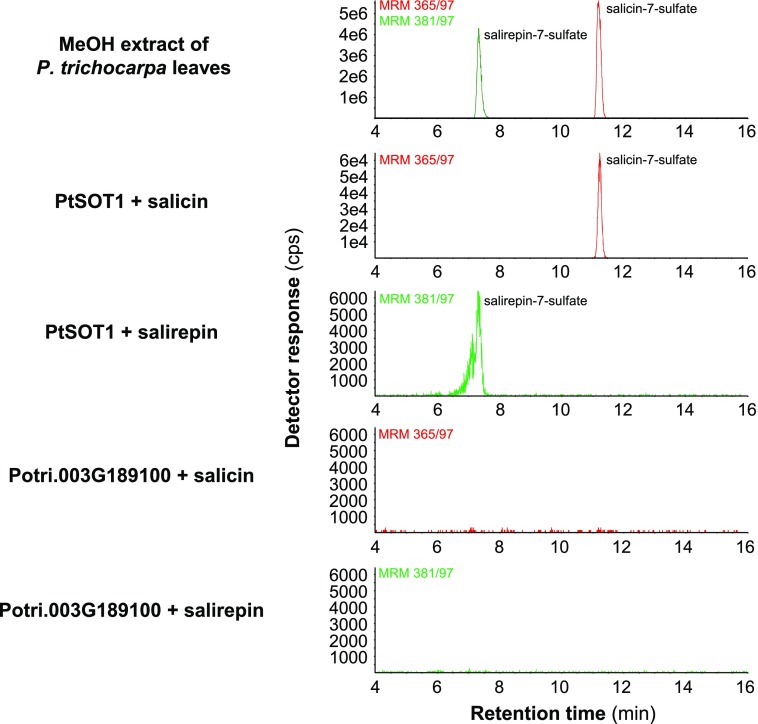 Figure 6.