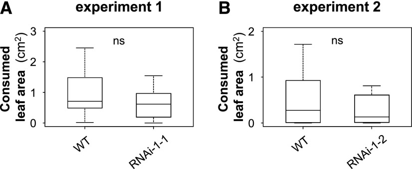 Figure 9.