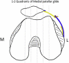 Fig 8