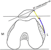Fig 7
