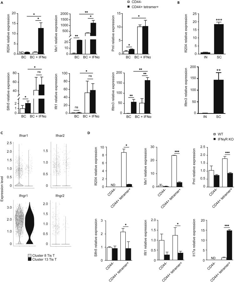 Figure 7