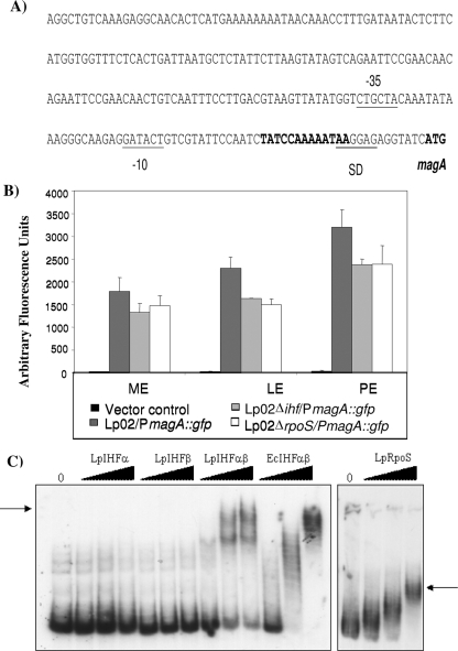 FIG. 4.