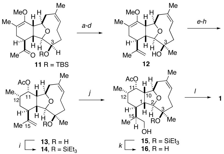 Scheme 4