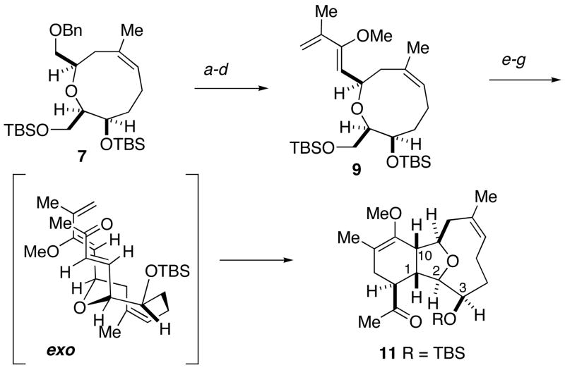 Scheme 3