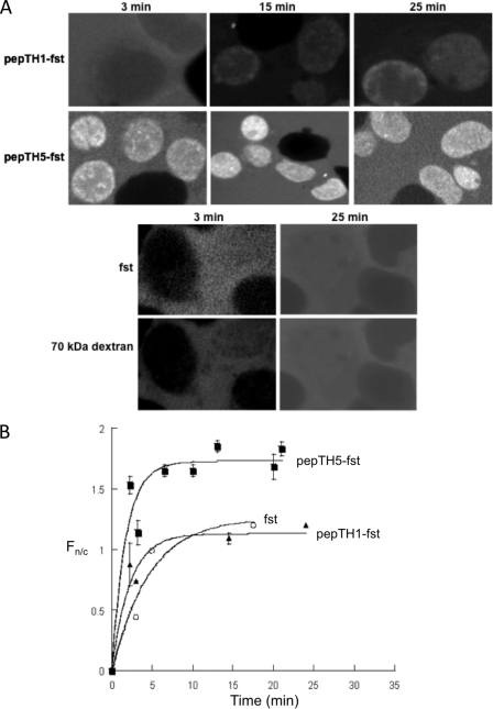 FIGURE 4.