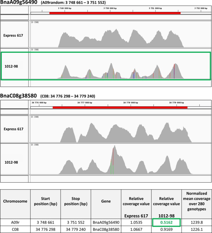 Figure 4