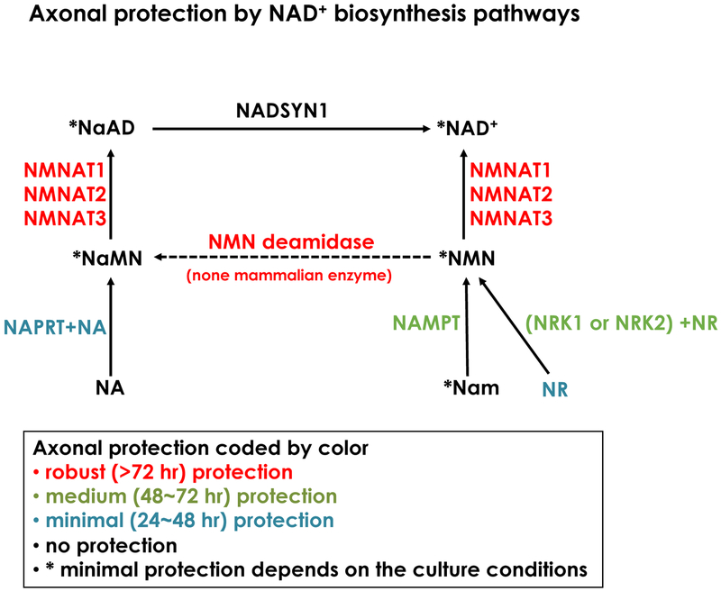 Figure2