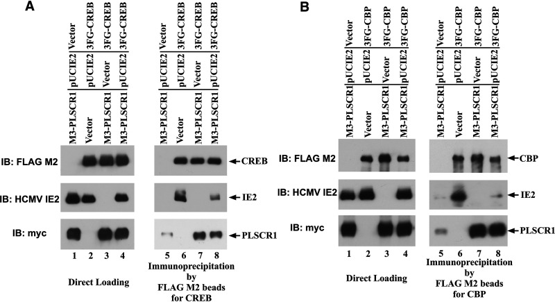 FIG 7