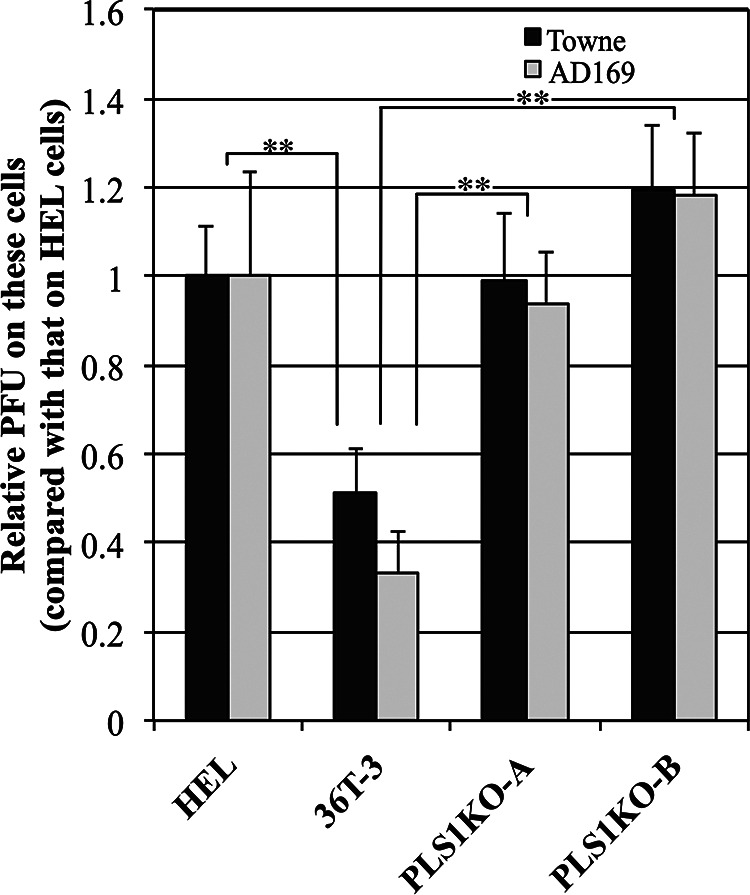 FIG 2