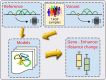 Graphical Abstract