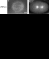 F<sc>igure</sc> 1.—