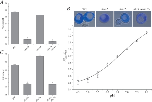 Figure 2.