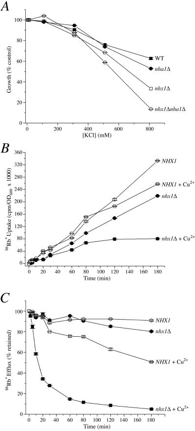 Figure 6.