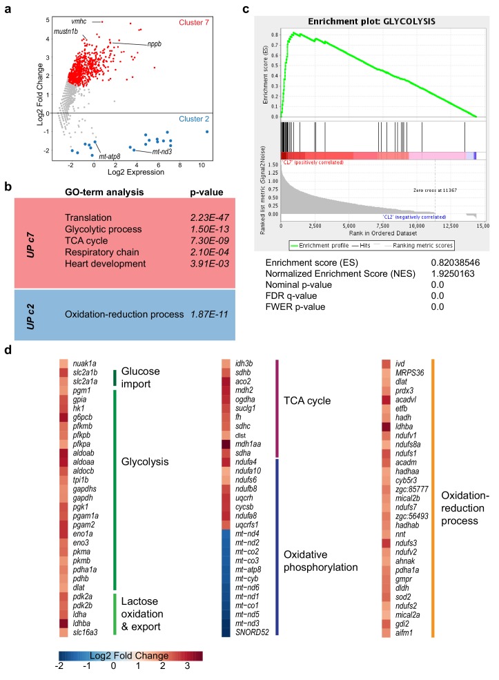 Figure 4—figure supplement 1.