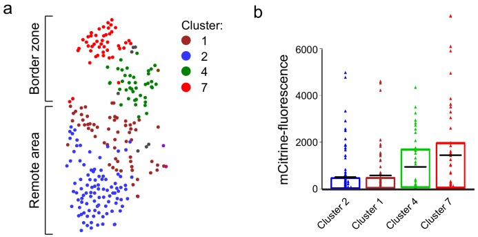 Figure 1—figure supplement 3.