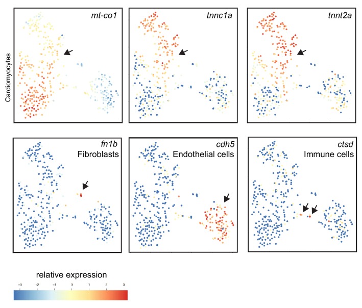 Figure 1—figure supplement 2.