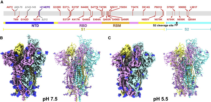 Figure 1