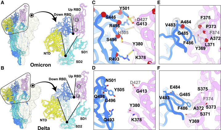 Figure 2