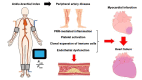 Fig.1. The ABI is used for the diagnosis of PAD as a simple and noninvasive test