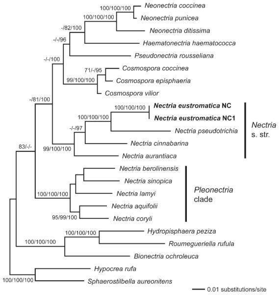 Fig. 1