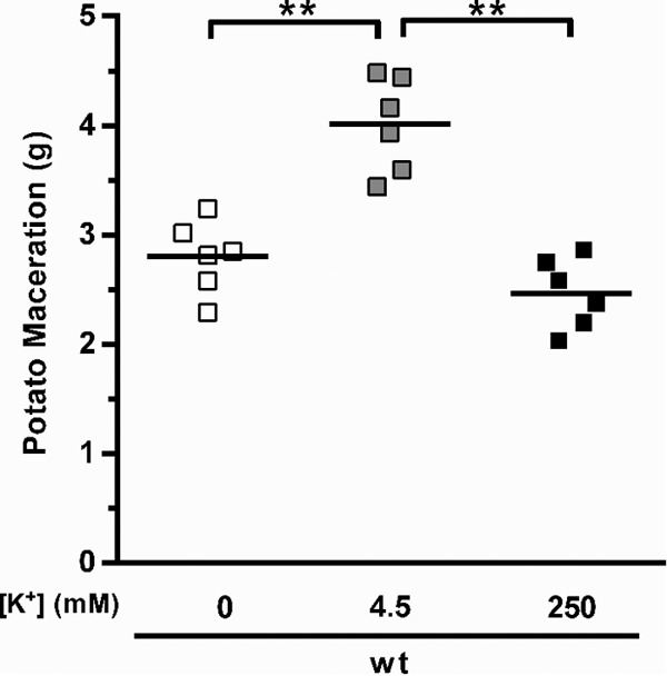 FIG 6