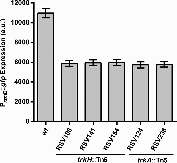 FIG 1