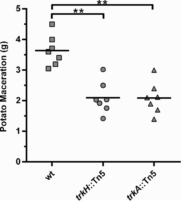 FIG 3