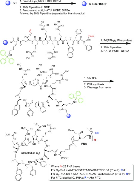 Scheme 1