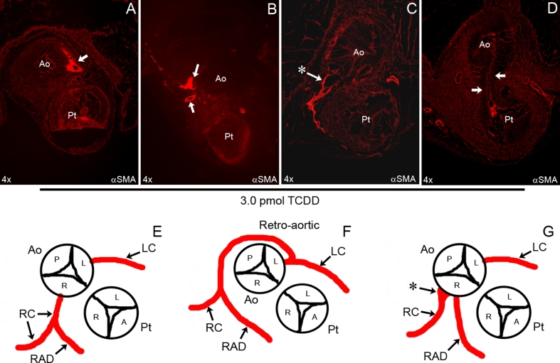 Fig. 4