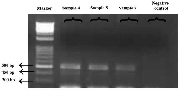 Figure 2.