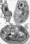 Figure 4-6